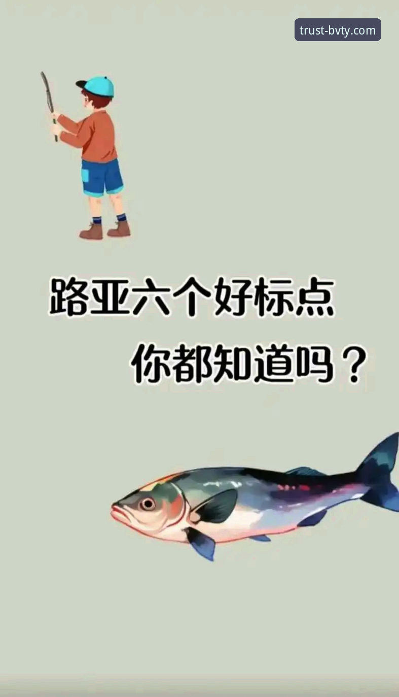新手必看：bvty体育怎么样对比——资深用户的三步选择心法